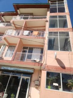 Kasauli Peak View Appartments - 4