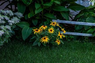 Guest House Comfort - 9