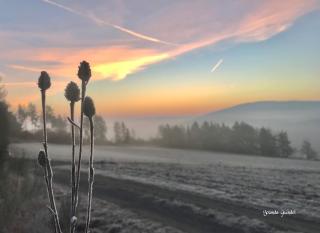 Frühstückspension Zur Krone - Bad Endbach - 3