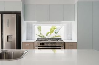 Dog friendly colourful oasis with a pool! - 5