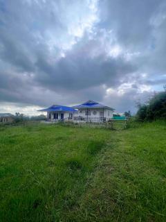 The Blue Boheme Bir - 2