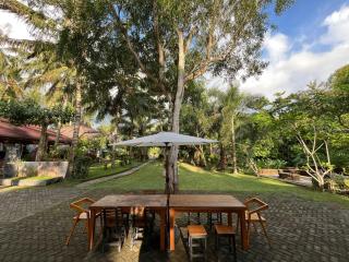 Mojosurf Red Island - 2