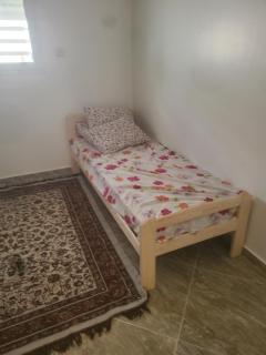 Dessine-moi un chameau -  - 3