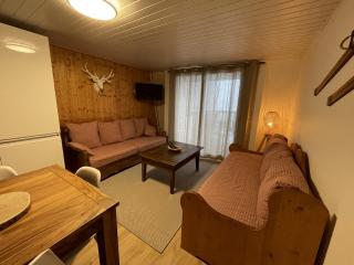 Chaleureux appartement Altitude 1500 - 2