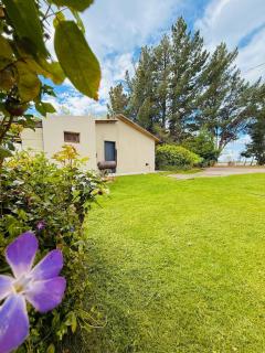 Vientos del Lago - 2