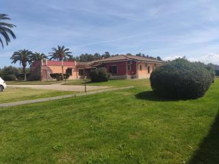 Le sei palme B&B - 8