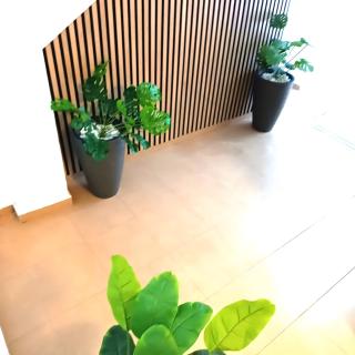 Apartamentos Calle Nueva - 6