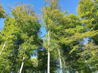 Ferienwohnungen Ambiente-Schmidt - 6