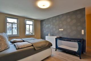 Alter Balken-Neuer Glanz - Ferienhaus Luna im Herzen Suhl Heinrichs - 1