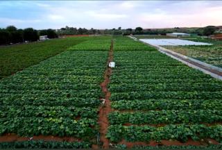 Lush 25 Acre Farm Stay I, Play & Serenity - 7