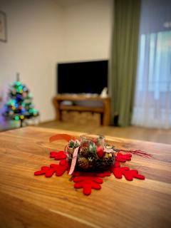 Apartmán Panorama Park - Hike, Ski & Relax - 3