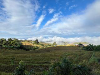 MonNaPaBongPiang Homestay ม่อนนาป่าบงเปียง โฮมสเตย์ - 7