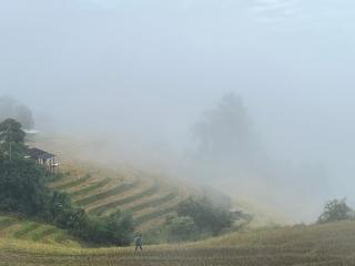 MonNaPaBongPiang Homestay ม่อนนาป่าบงเปียง โฮมสเตย์ - 8