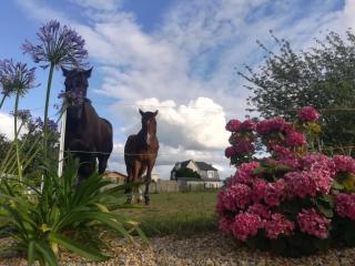 L'HERMINE - pour 2 personnes, proche de la plage - 2