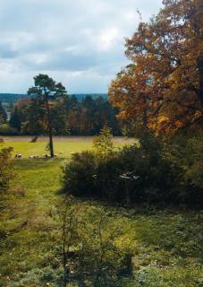 Waldhaus Auf Randen - 8