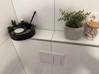 Modernes Haus direkt am Rhein - 6