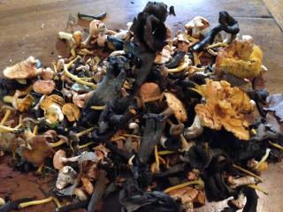 Gite de charme de Langeanat Grenoble - 3