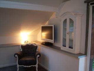 Gite de charme de Langeanat Grenoble - 1