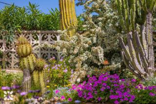 Villa Alamito by Abahana Villas - 1