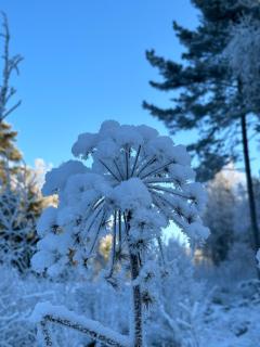 Stunning lakeside home with sauna surrounded by nature - 3