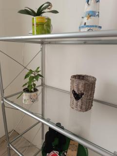 Family house in beautiful nature, ideal for fun - 9