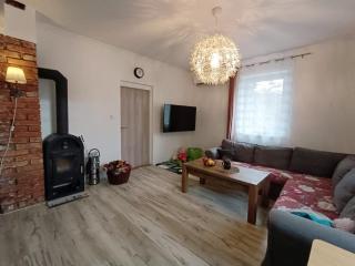 Family house in beautiful nature, ideal for fun - 1