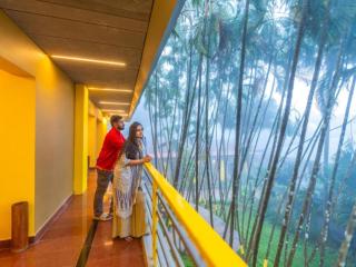 The Hosteller Wayanad, Vythiri - 9