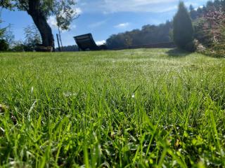 Ferienwohnungen Schneider - 1