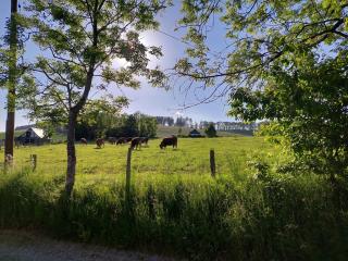 Ferienwohnungen Schneider - 7