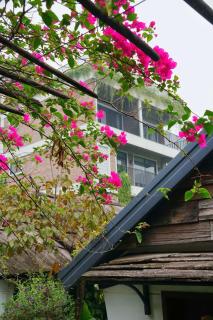 San Signature - Suối Ngọc Retreat -  - 5