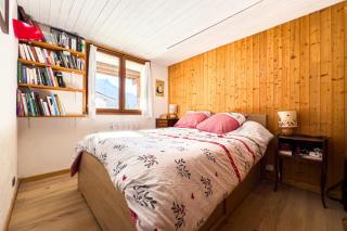 Ski nest with view of Mont Blanc - 5