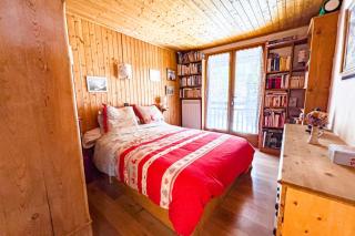 Ski nest with view of Mont Blanc - 4