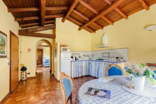 Peaceful Haven in Rome - 4