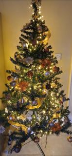 Relax at Safe Haven - Luxury Family Accommodation - 4