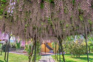 Sarzana-Charming Room Pool and BB - 4