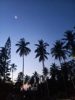 Cerya Kampung Inn - 2