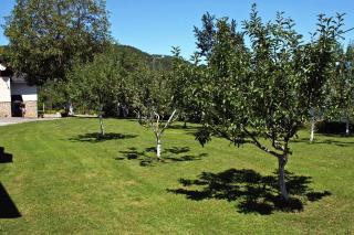 Apartments with parking space Poljanak, Plitvice - 5195 - 1