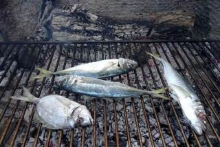 Apartments by the sea Funtana, Porec - 6905 - 1