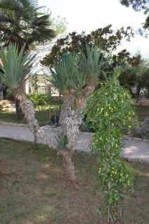 Family friendly seaside apartments Novigrad - 7118 - 1