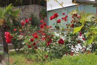 Apartments with WiFi Lovran, Opatija - 7886 - 1