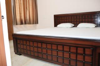 Green Carpet Tulip - 1