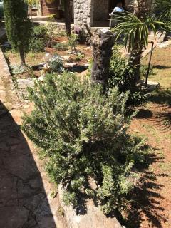 Apartments by the sea Malinska, Krk - 13523 - Malinska - 1