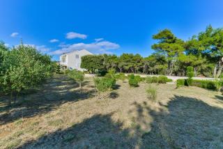 Apartments by the sea Vir - Torovi - Vir - Pedinka, Vir - 18587 - 1