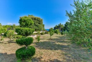 Apartments by the sea Vir - Torovi - Vir - Pedinka, Vir - 18587 - Vir - 2