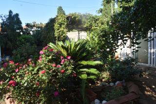 Apartments by the sea Losinj, Losinj - 20783 - 1