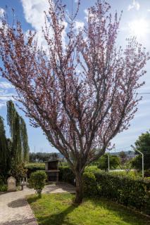 Apartments by the sea Seget Donji, Trogir - 23134 - 3