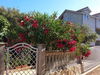 Apartments with parking space Rudina, Hvar - 23777 - 2