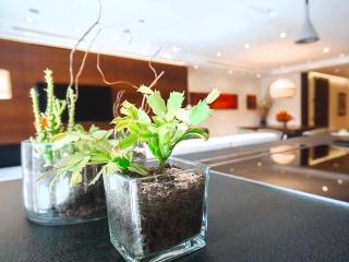 Countess 3bed Apartment Center Mayfair - 7