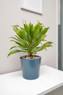 Modern 3BR Flat in Peckham, 2 Baths, Free Parking - 3