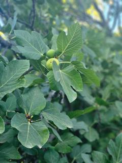 The House By The Sea - family memories strats here - 1